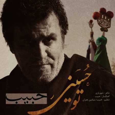 دانلود آهنگ جدید حبیب تو حسینی