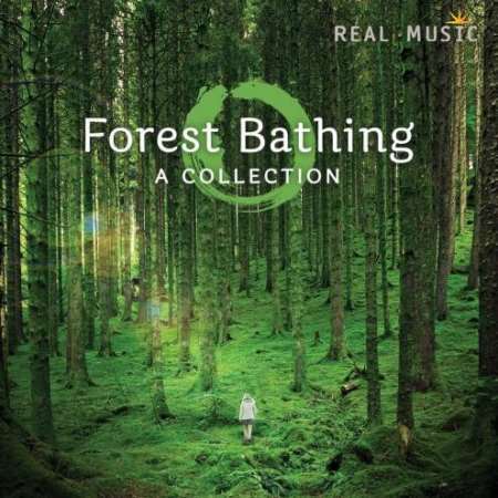 دانلود آلبوم بی کلام جدید Forest Bathing